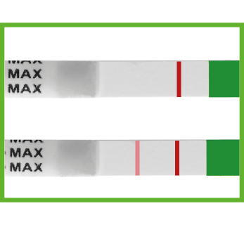negativt-svar-egglossningstest